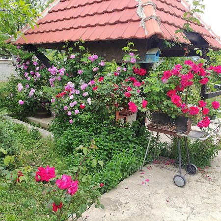 Green Valley Kotor Ngoại thất bức ảnh