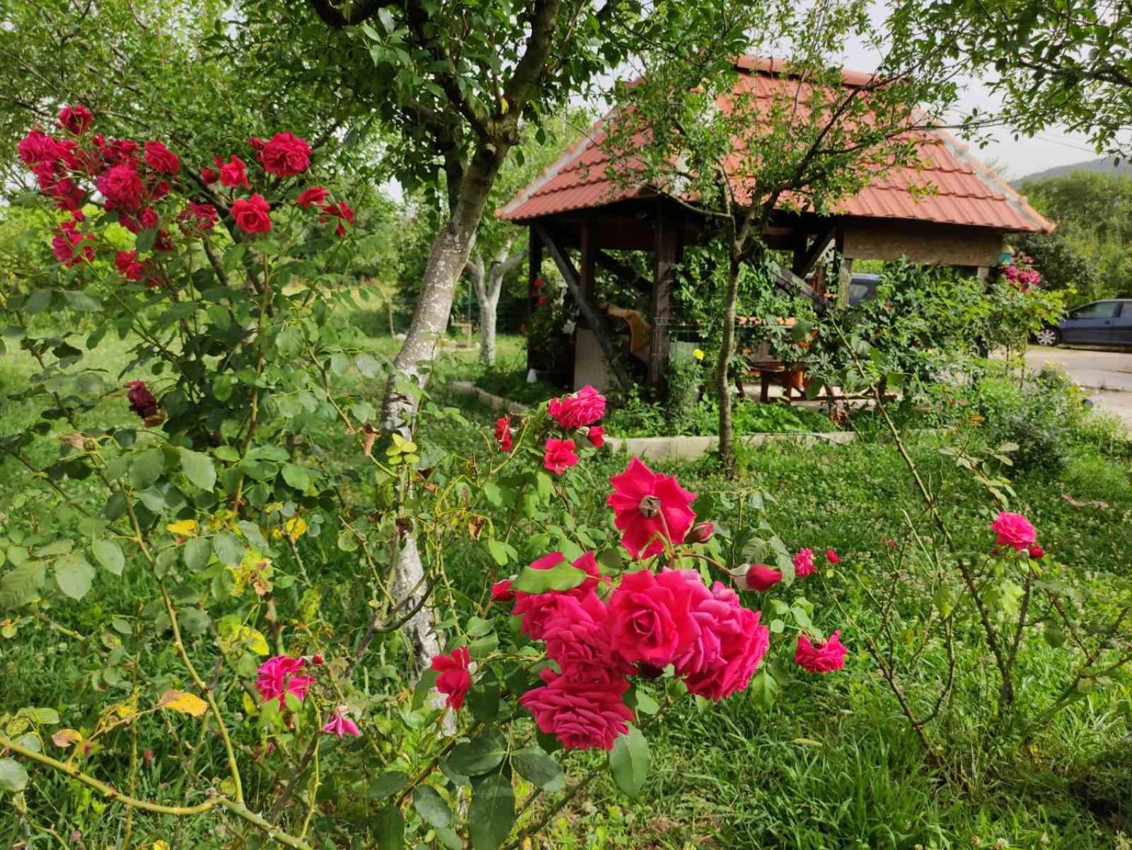 Green Valley Kotor Ngoại thất bức ảnh