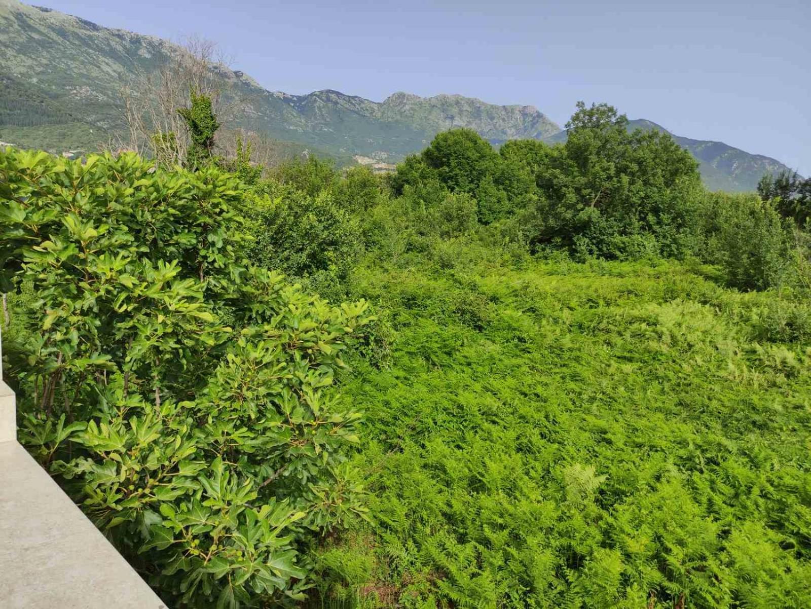 Green Valley Kotor Ngoại thất bức ảnh