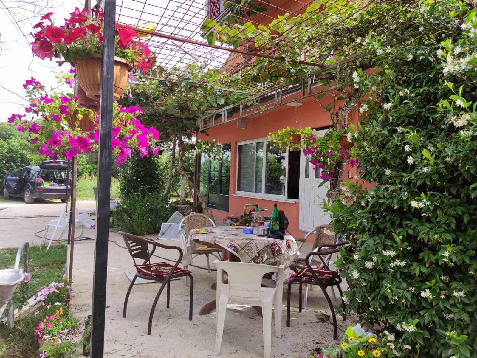 Green Valley Kotor Ngoại thất bức ảnh