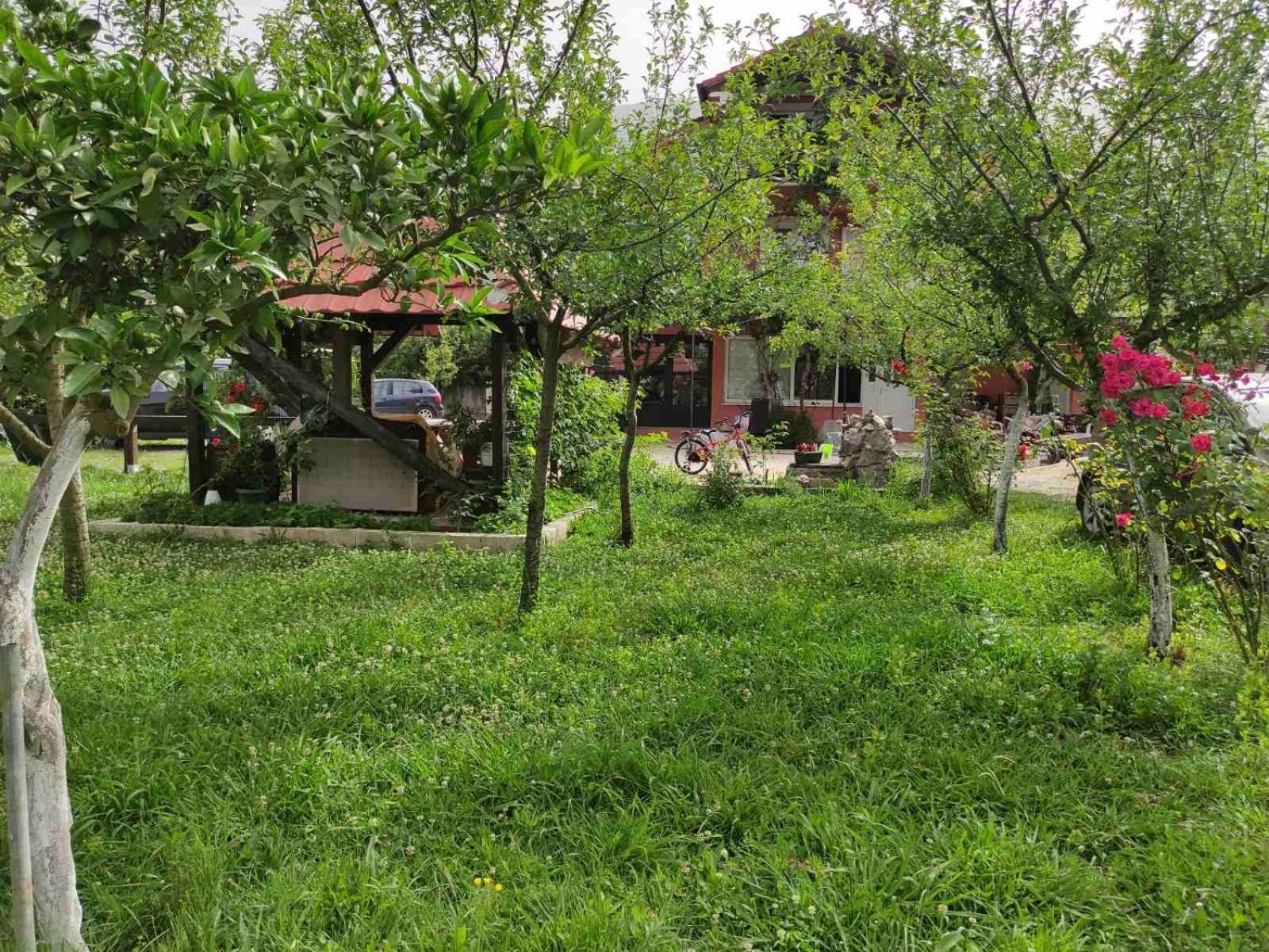 Green Valley Kotor Ngoại thất bức ảnh