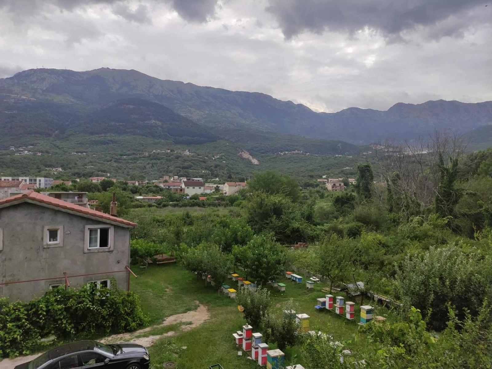 Green Valley Kotor Ngoại thất bức ảnh