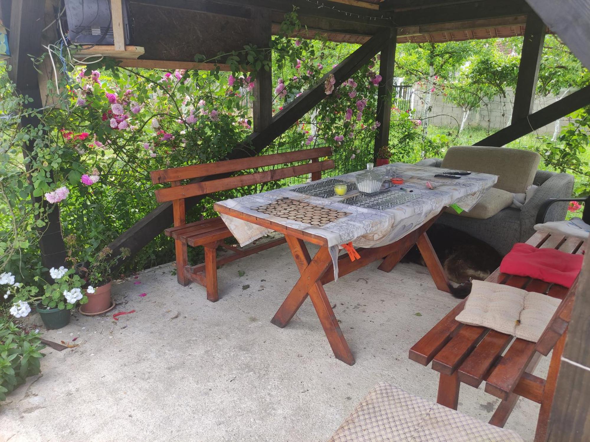 Green Valley Kotor Phòng bức ảnh