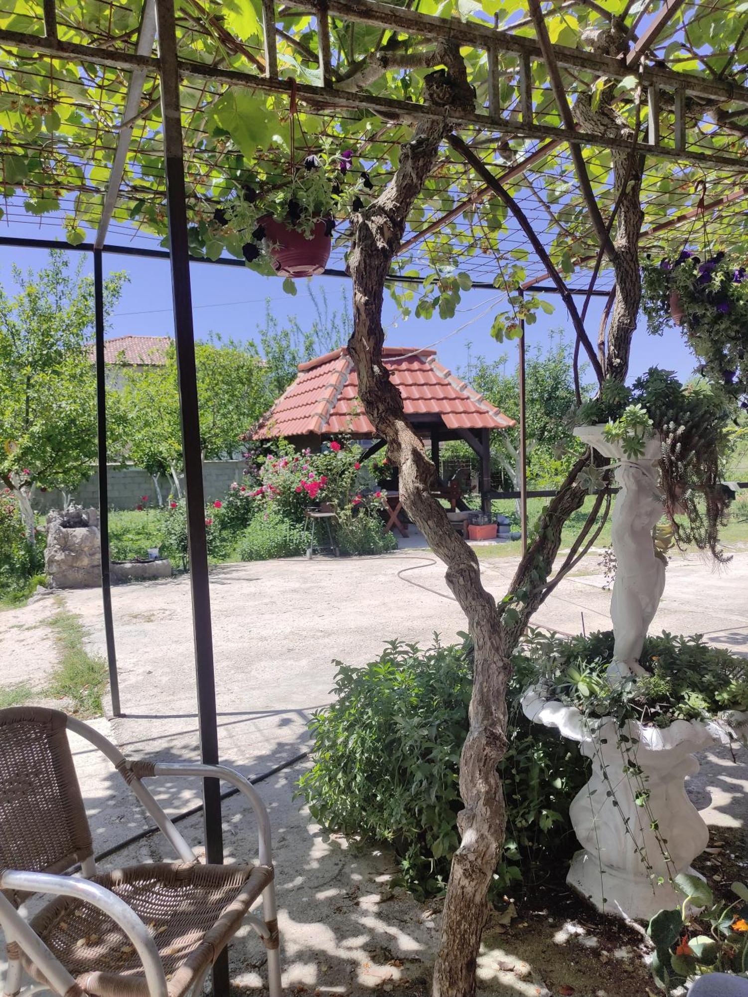 Green Valley Kotor Ngoại thất bức ảnh