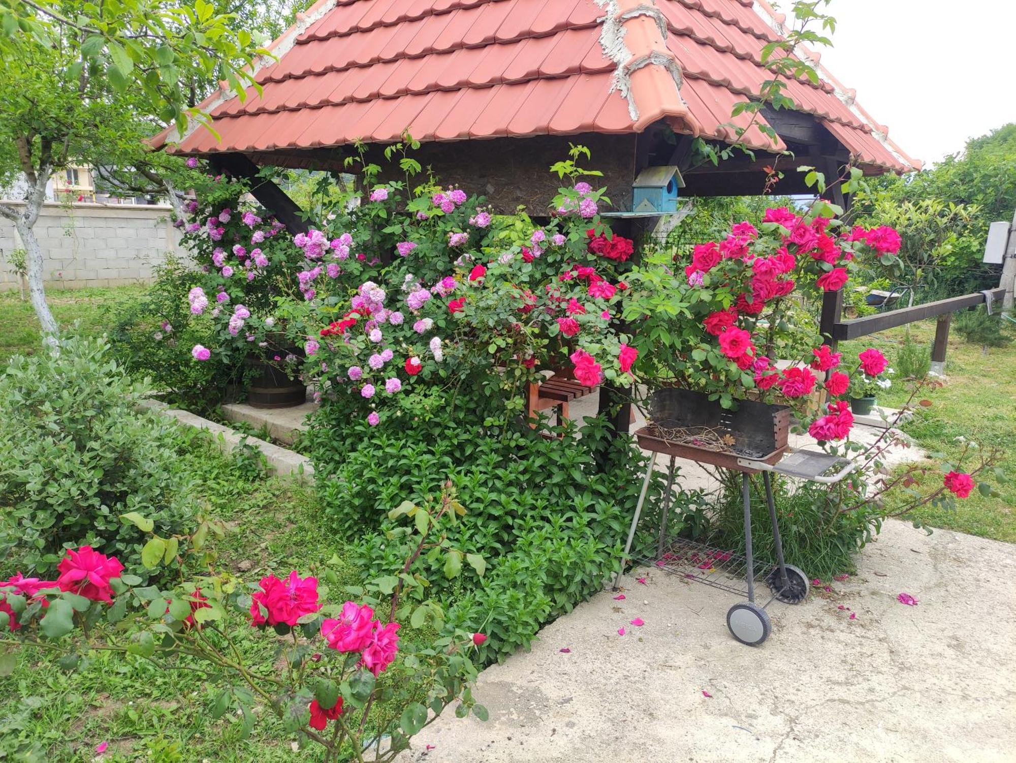 Green Valley Kotor Ngoại thất bức ảnh
