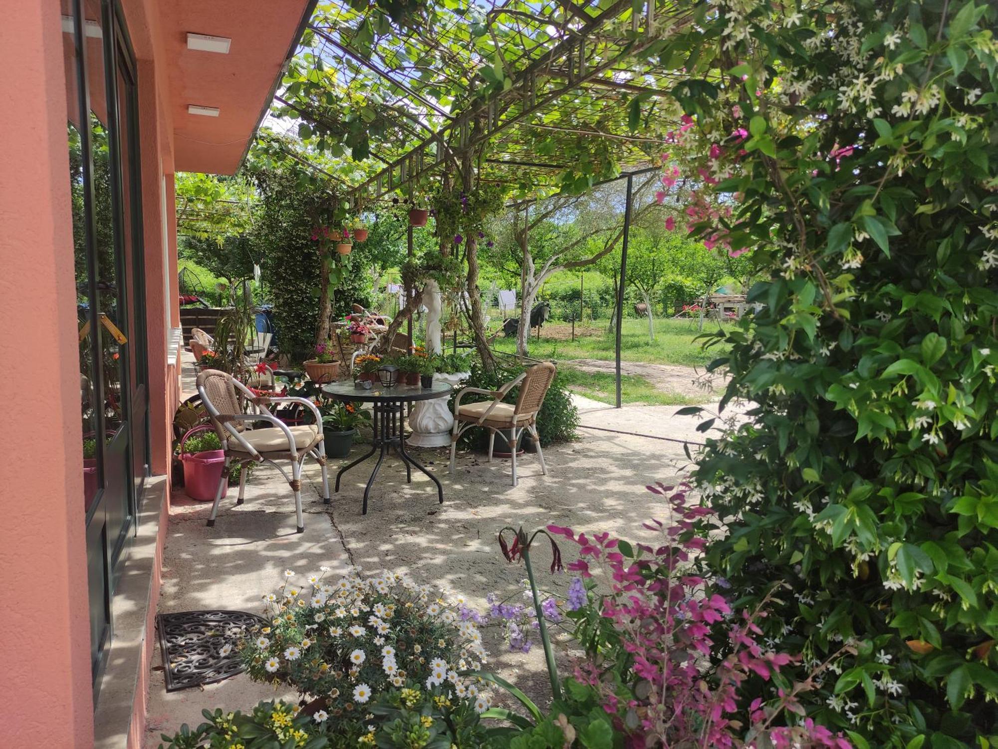 Green Valley Kotor Ngoại thất bức ảnh