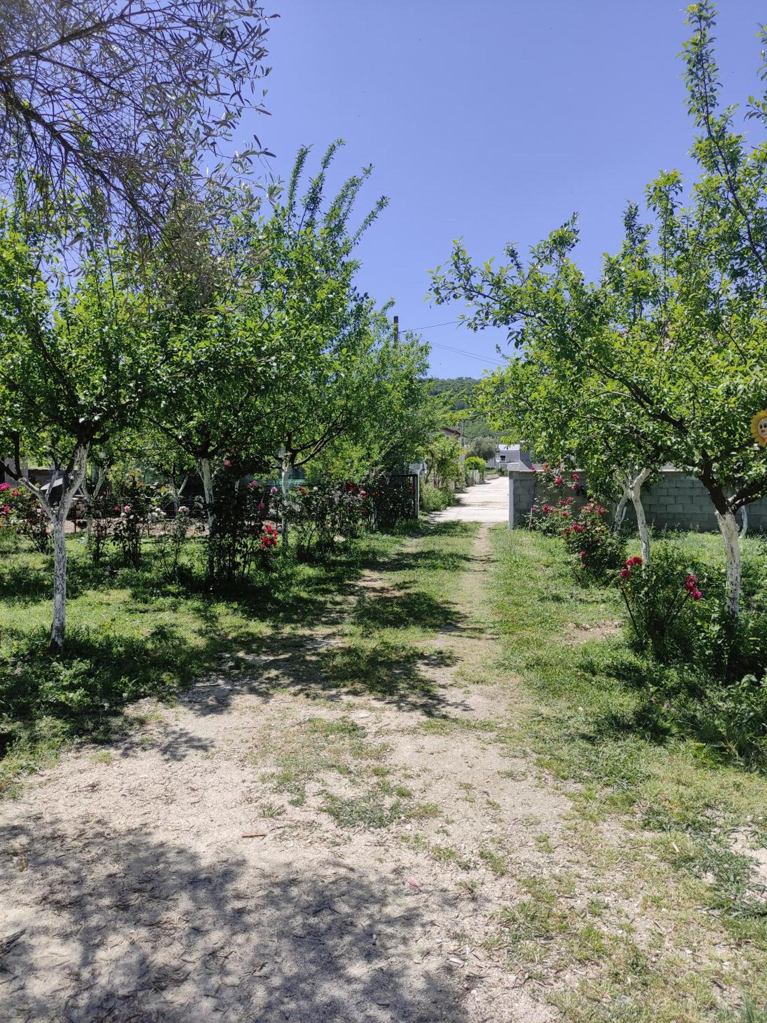 Green Valley Kotor Ngoại thất bức ảnh